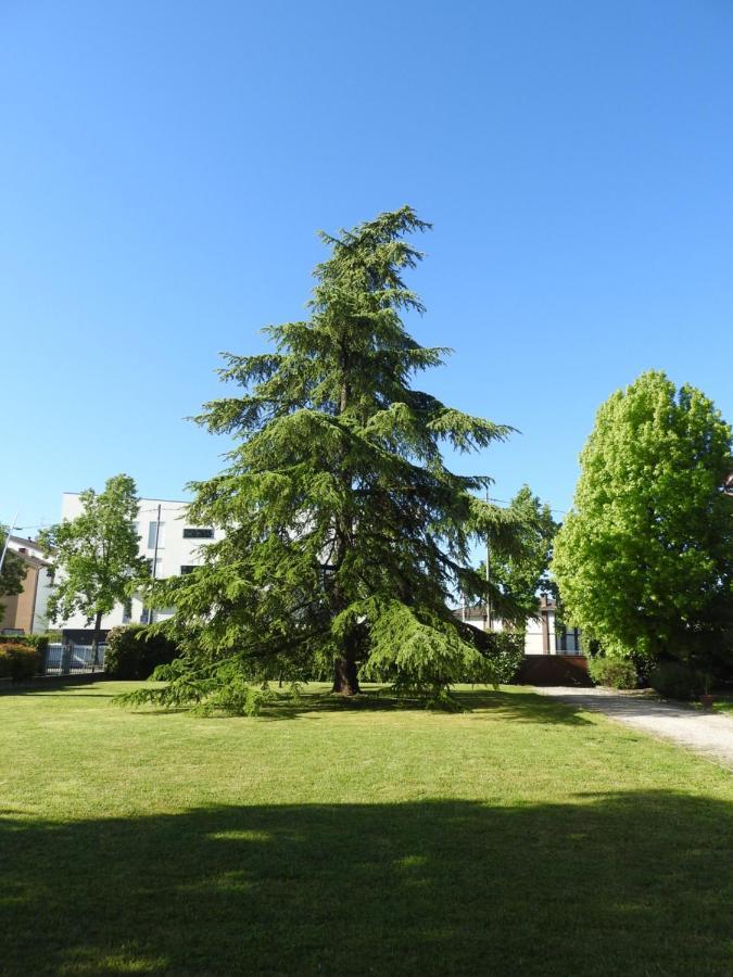 Villa Venezia Torre di Mosto Exteriér fotografie